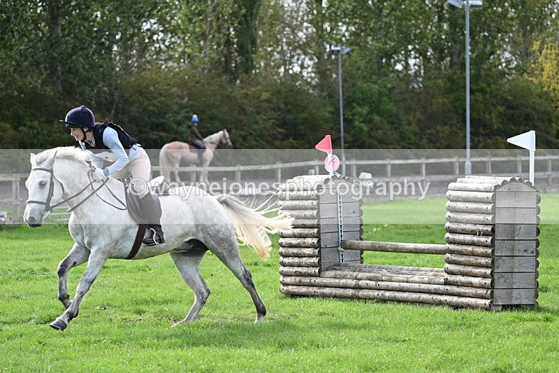 WJ7_8482 - 60cm Pairs