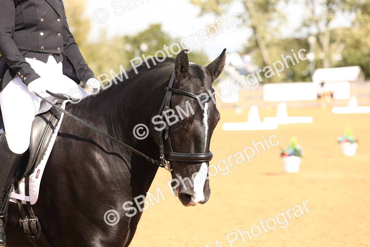SBM_40563 - D6 - Small Tour Championship Intro 4