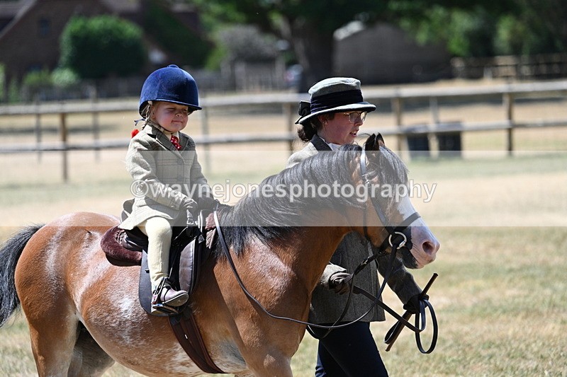 WJ7_2561 - Class 6 Ridden Mountain and Moorland