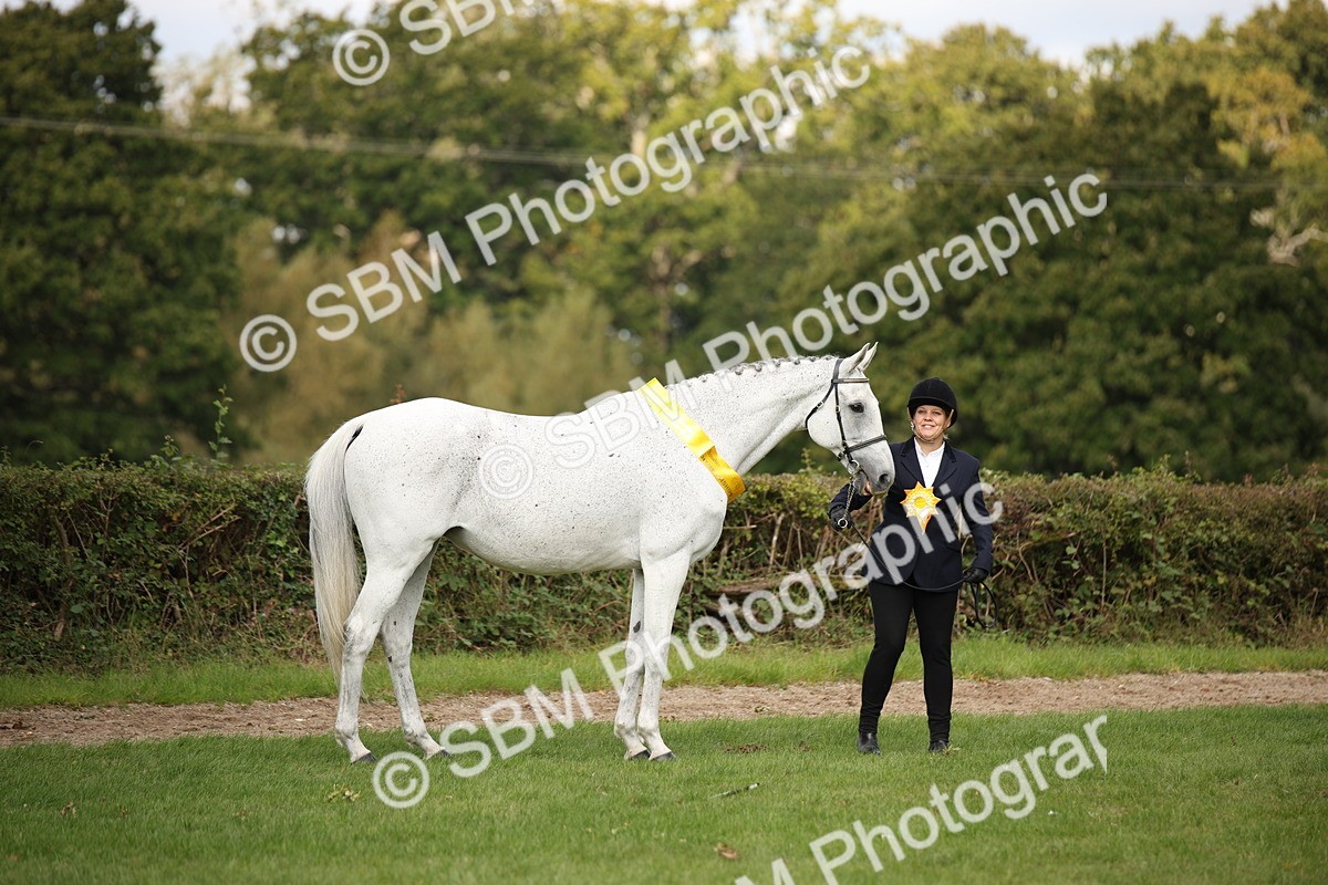 SBM_62947 - In Hand Horse Supreme Championship