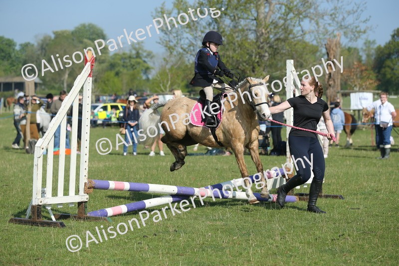 20250427-0863 - Class 1 - Mini Jumping Lead Rein or Assisted