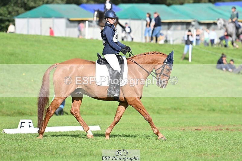 231020-120421-08306 - 656-DUNARD.RED.KNIGHT-Naomi.Watkins-DR