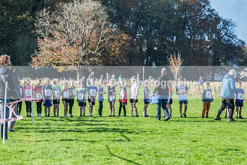 Cumbria XC-4 - Cumbria XC League Workington Saturday 26th October 2024
