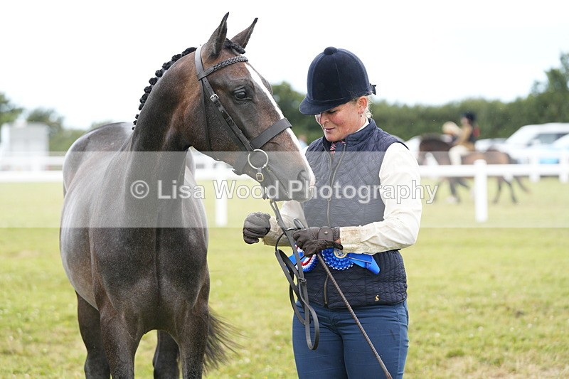 DSC06451 - Hunter/Riding Horse/Hack In Hand Championship
