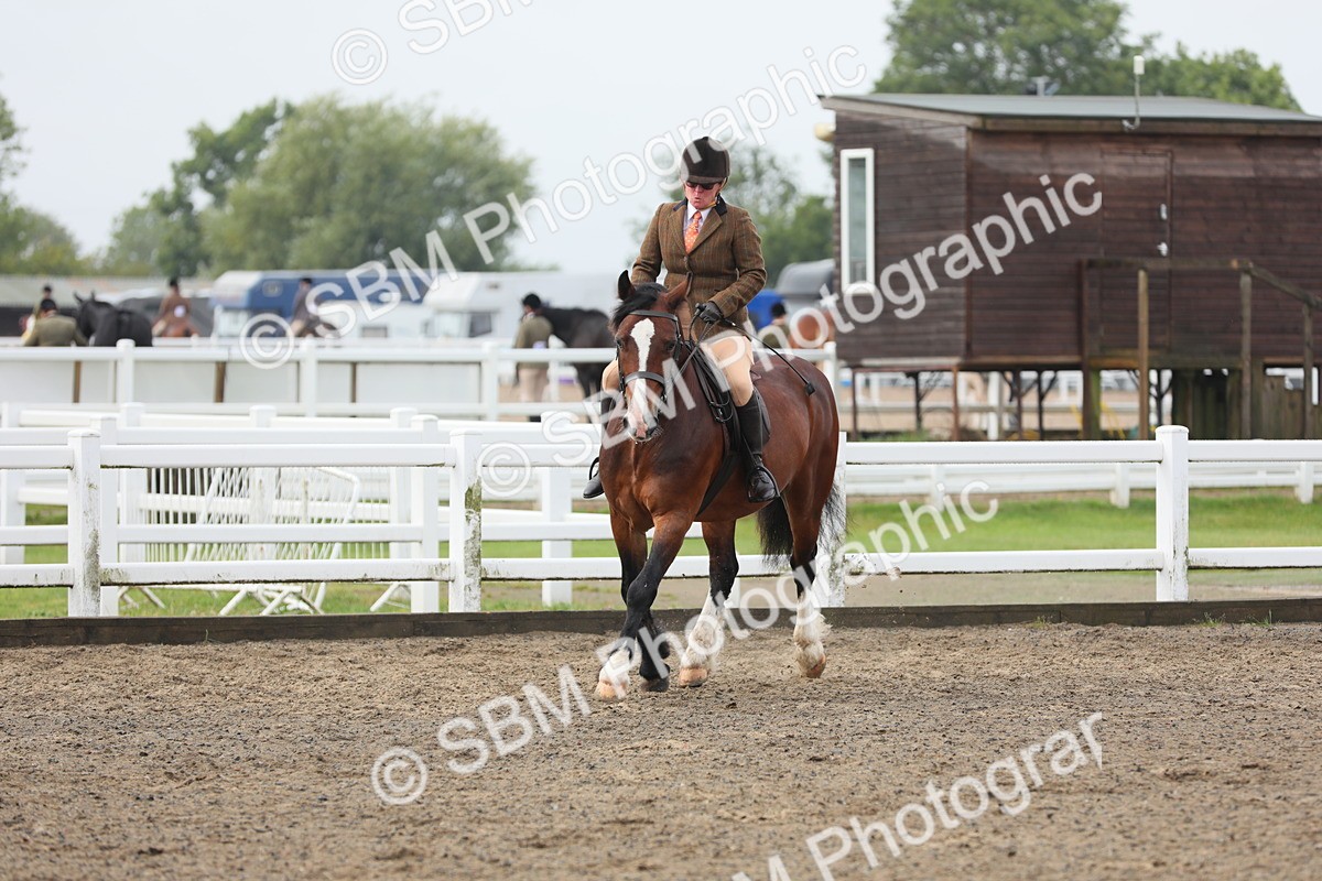 SBM_21369 - Class 805 - Ridden Veteran Horse