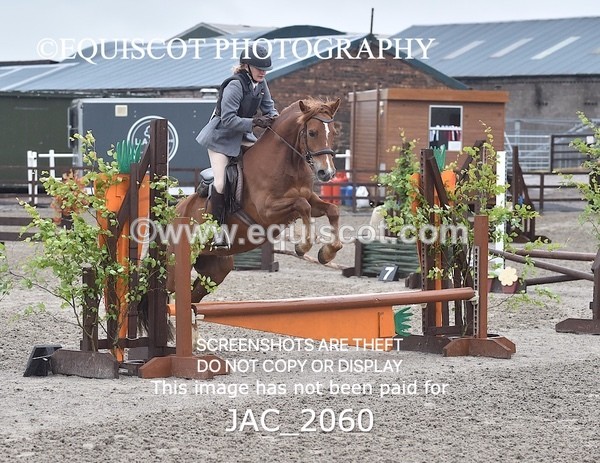JAC_2060 - CLASS 1 Nursery Novice Working Hunter