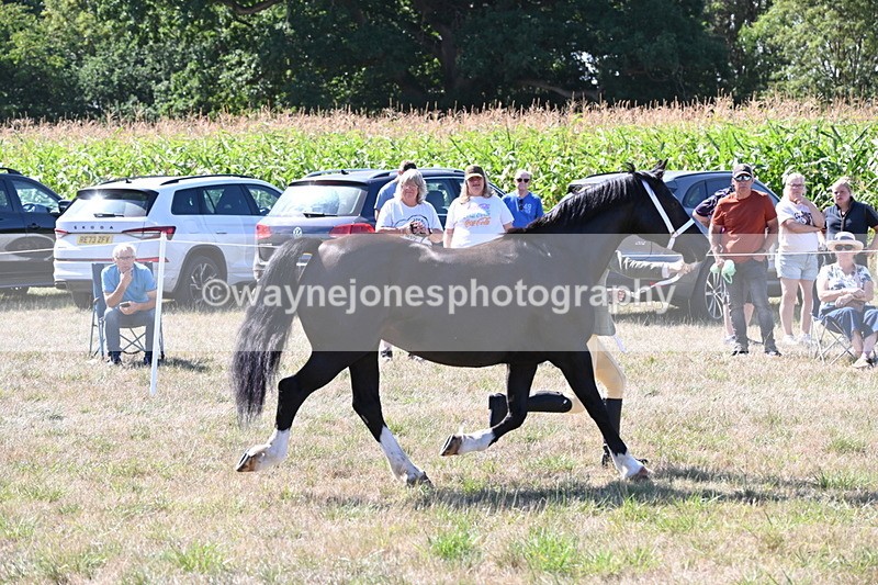 WJ6_4886 - Class 17 Mountain & Moorland