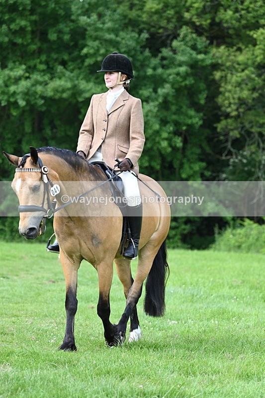 WJ7_1008 - Class 11 Condition & Turnout