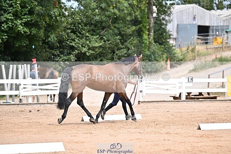 250716-132727-00526 - Trot Up 12.30 to 1.30