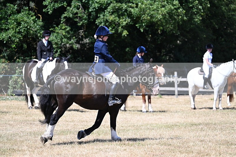 WJ7_3712 - Class 8 Ridden Veterans