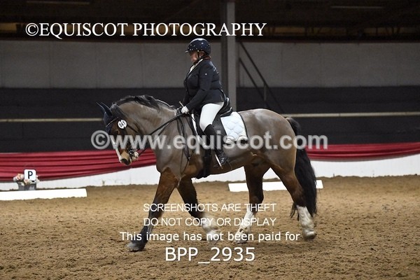 BPP_2935 - ELEM TEST 4