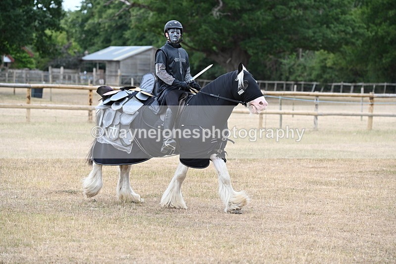 WJ6_8861 - Class 11 Fancy Dress