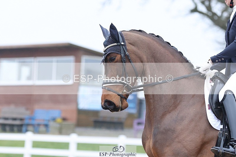 250216-141030-06017 - 149-Robyn.Walker-St.Giles.Flamborghini