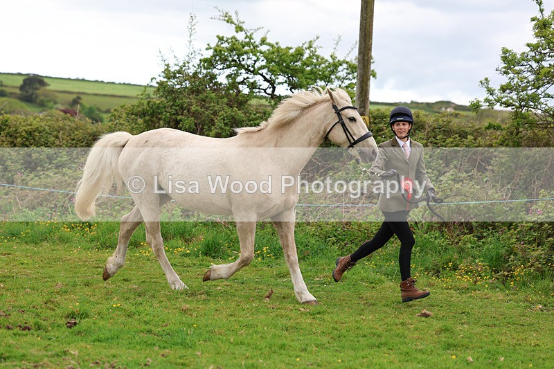 3E7A0758 - In Hand Championship