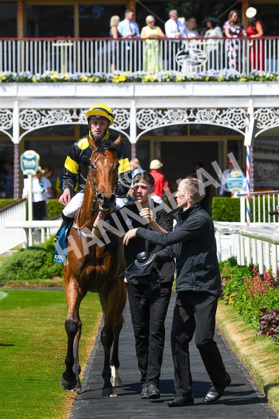 270523-Race 1-Doctor Khan Junior-0202 - Race 1 1.35pm William Hill Keep Your Raceday Positive Handicap