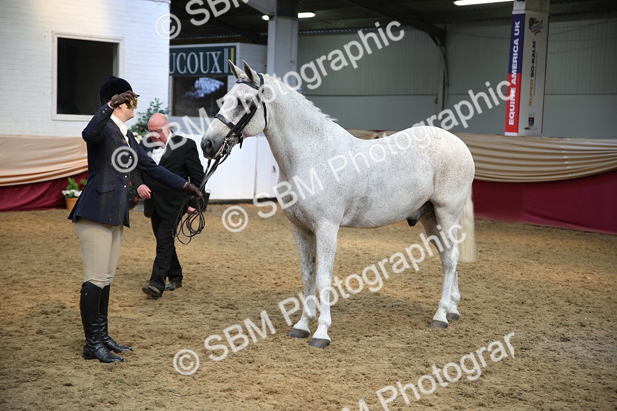 SBM_24294 - Class 905 - Supreme Final - Ridden Veteran
