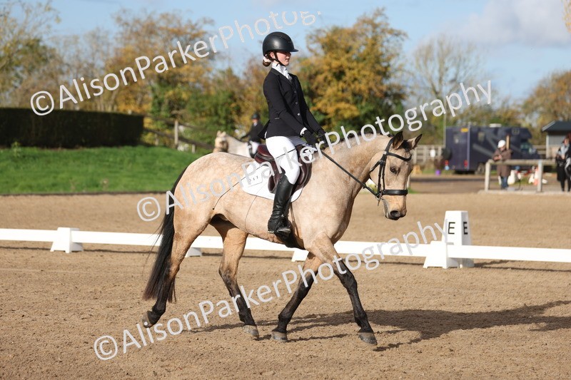 20251101-0293 - Class 2 - Prelim 1