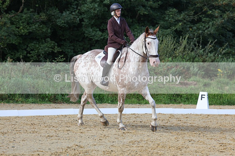 3E7A2413 - Class 1: Intro 4 2024 section A