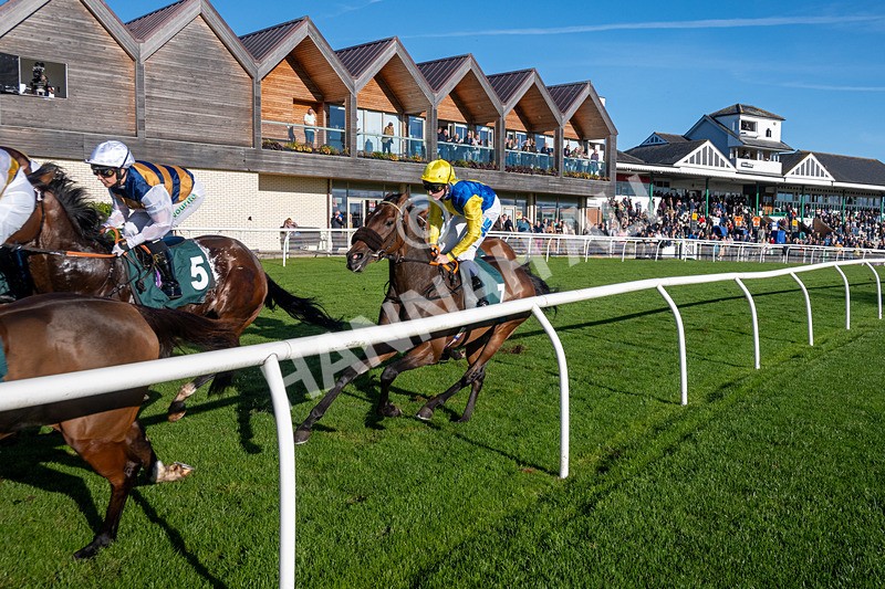 291024-Race 3-Kings Scholar-6337 - Race 3