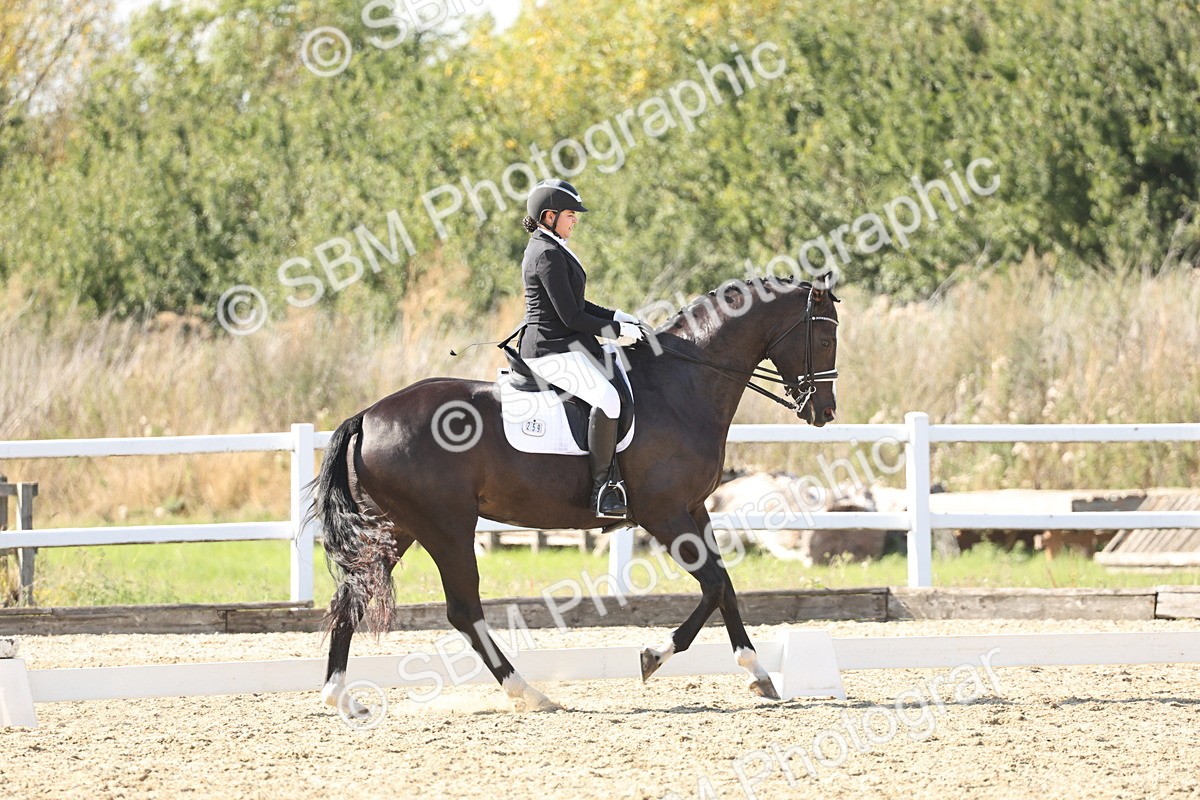 SBM_015343 - Class 9 - Advanced medium 3