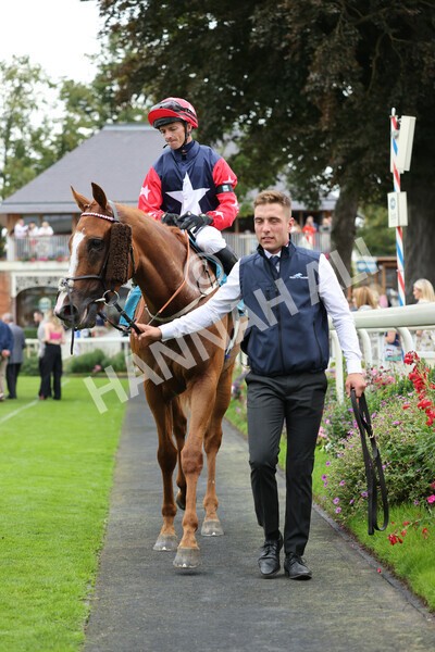 yr04092022r5-56 - Race 5 4.05pm Little Green Rascals Children's Nurseries Stakes