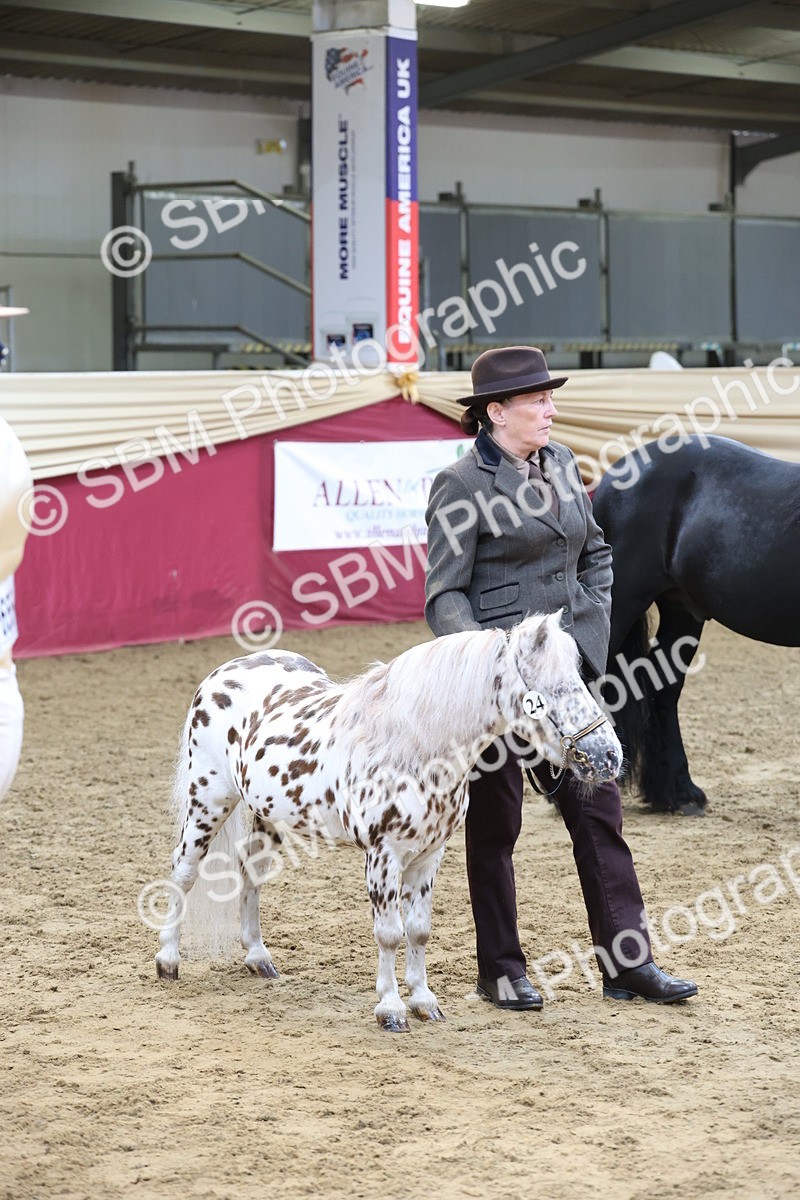 SBM_22494 - Class 902 - Supreme Final - IH Diamond