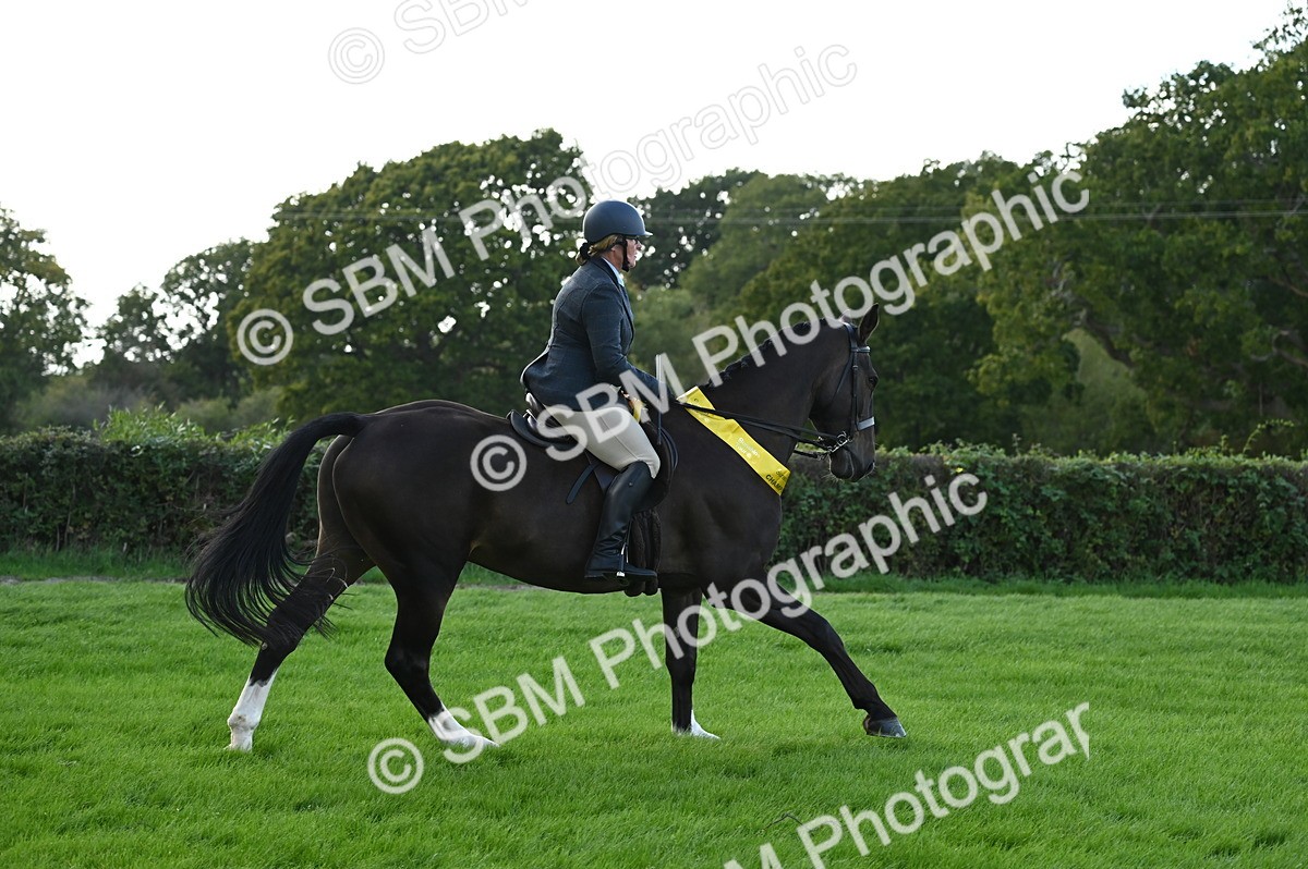 SBM_26497 - S6 - Novice & newcomer Ridden horse