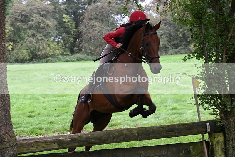 WJ6_1915 - Time 13:31 to 14:00