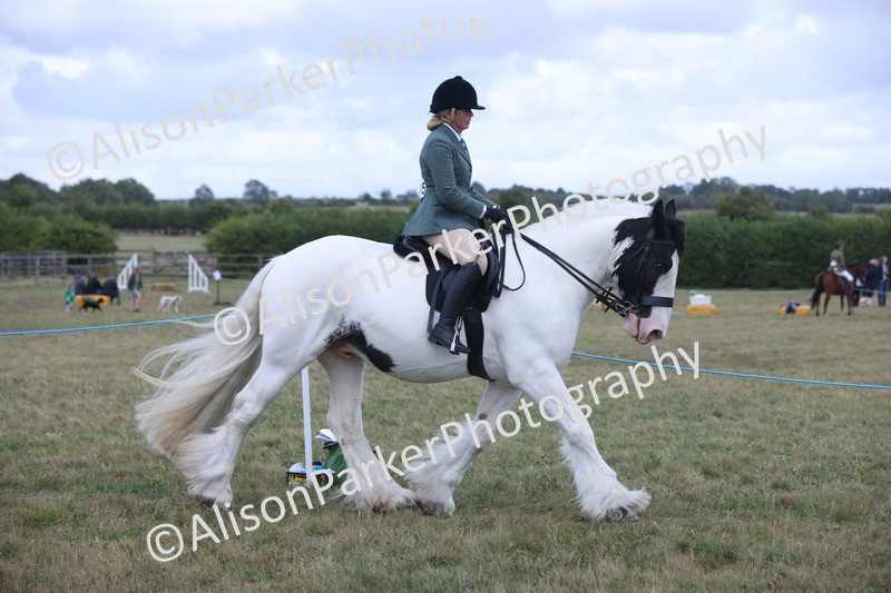 20250831-4219 - Class 20 - Ridden Coloured