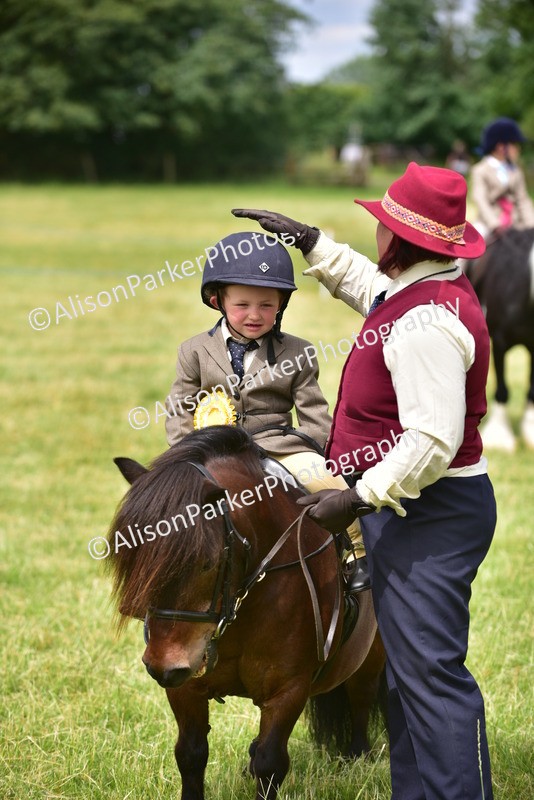20260614-4035 - Class 16 - Handsome Gelding