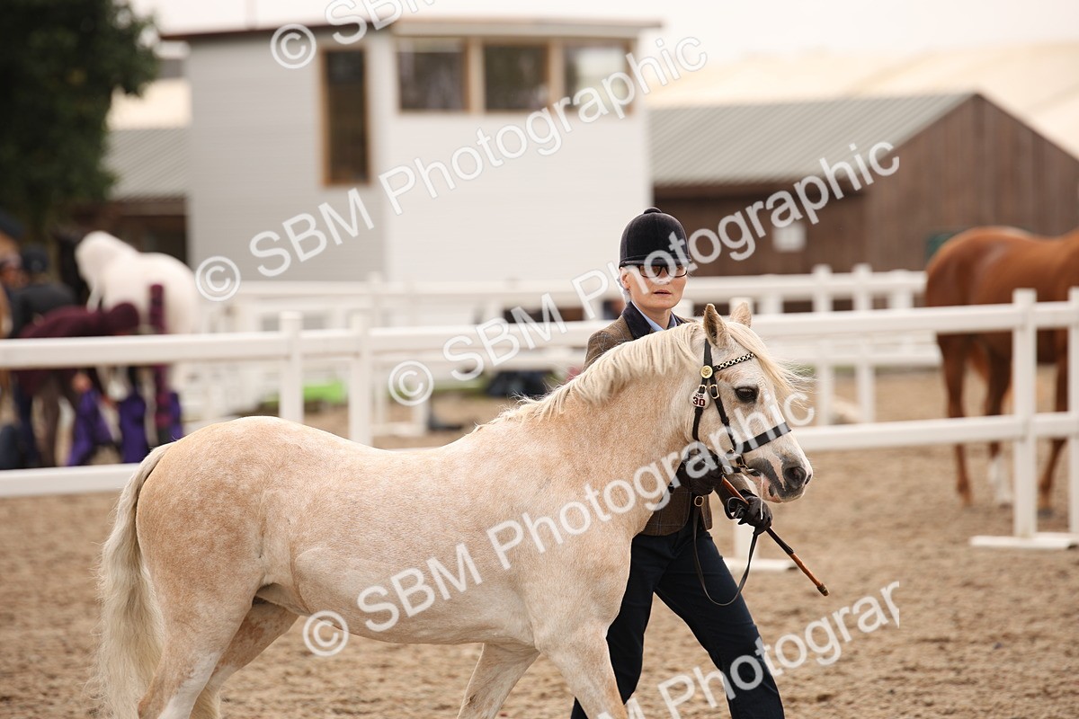 SBM_21517 - Class 706 - IH  Veteran