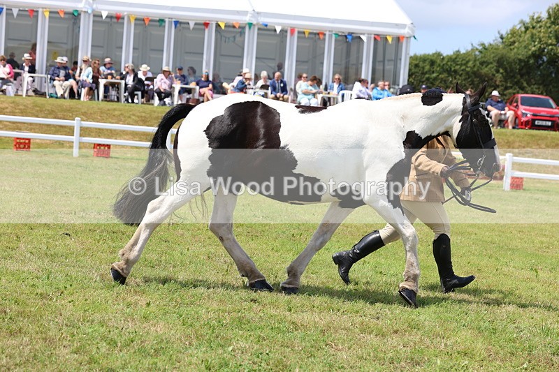 3E7A2149 - Class 10: Open Cob