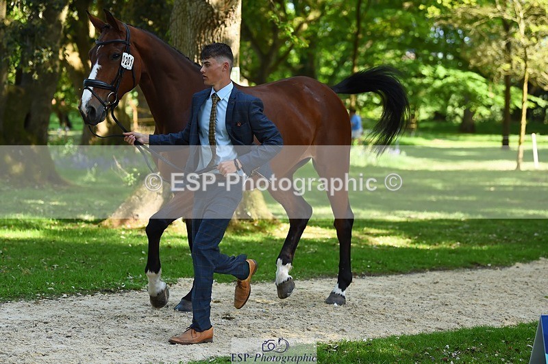 230524-160256-00643 - 201-JAEGER_MASTER-Tom_Woodward-WEDTrotUp+DR