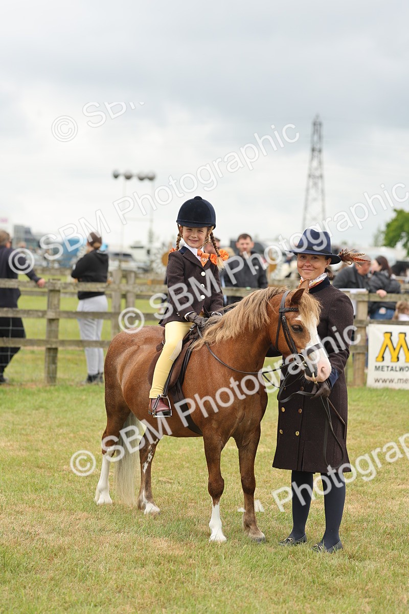 SBM_06767 - Class 74-75 - M&M Lead Rein and First Ridden Pony