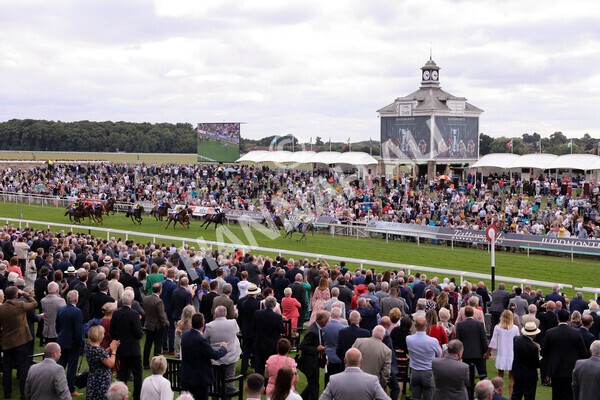 yr17082022r5-27 - Race 5 4.10pm Sky Bet Stayers Stakes