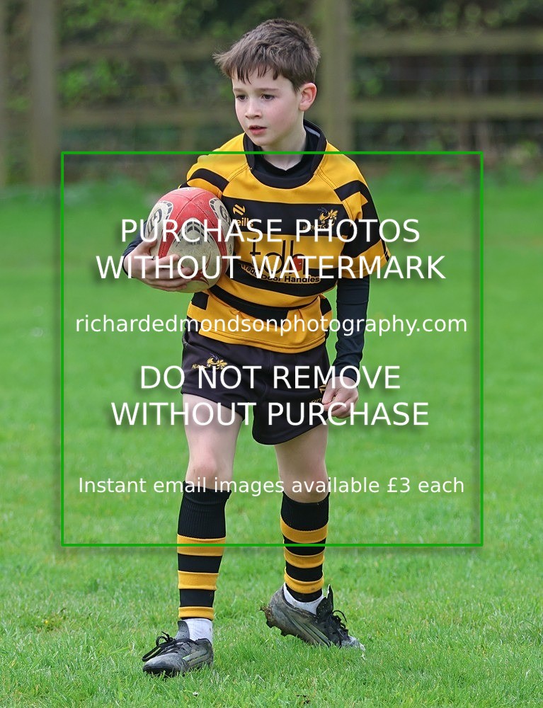 533A5398 - Kendal Rugby Under 7's (12/4/26)