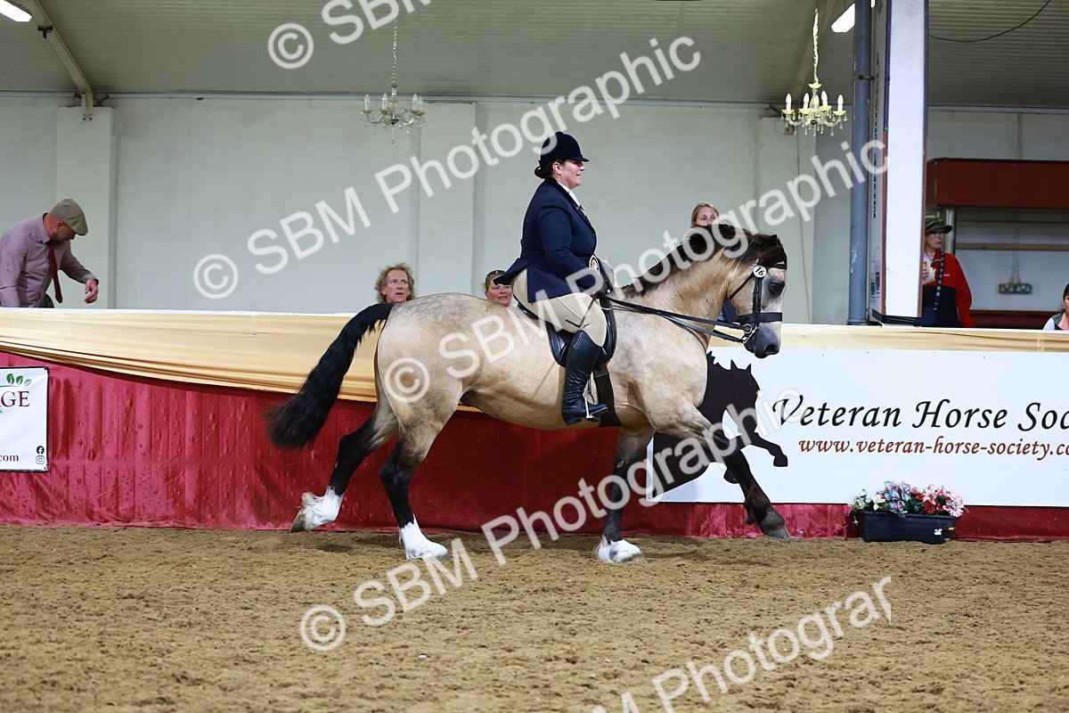 SBM_23622 - class 906 - Supreme Final - Ridden Pre Vet