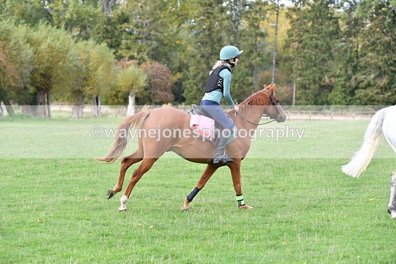 WJ5_0434 - Time 13:59 to 14:28