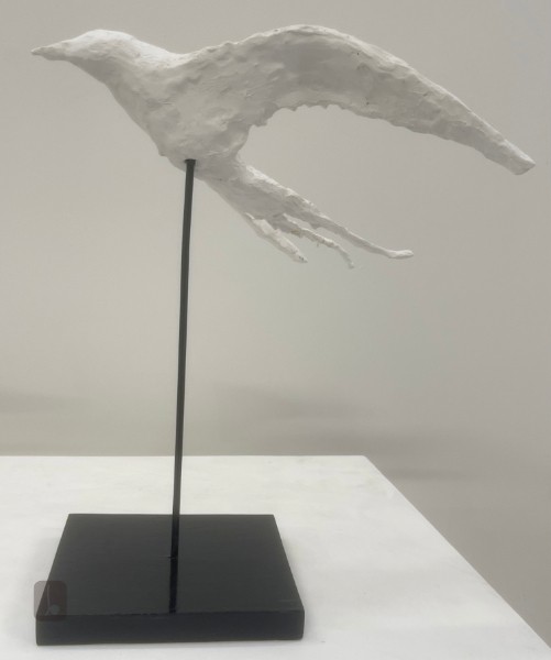 Arctic Tern Two - departures and returns