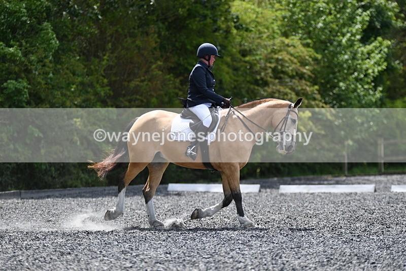 WJ5_0561 - Time 12:24 to 13:01