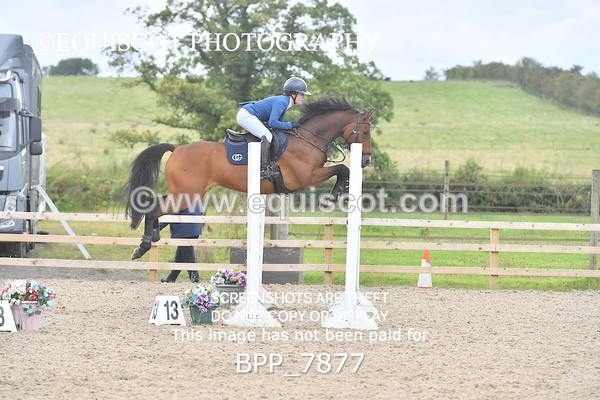 BPP_7877 - CLASS 14 SAT Senior Newcomers/ 1.10m Open