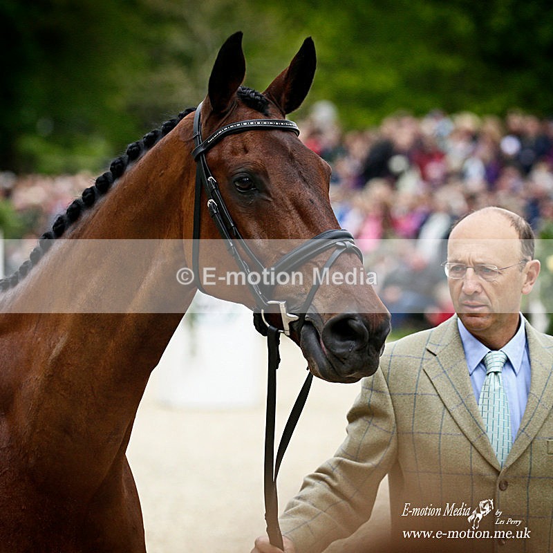 _LEZ3101a - Equestrian