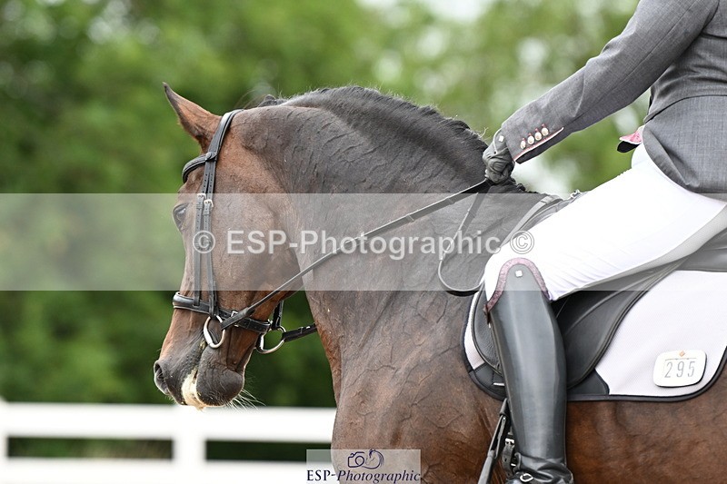 240815A-140813-01951 - 295-Zara.Bassett-Croon.Gravin