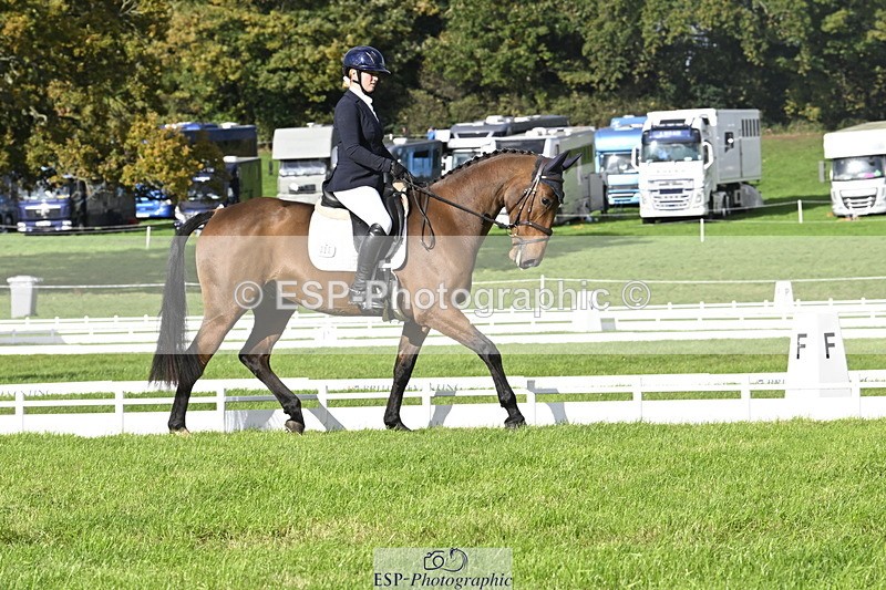 251023A-150747-04514 - E-386-Zara.Head