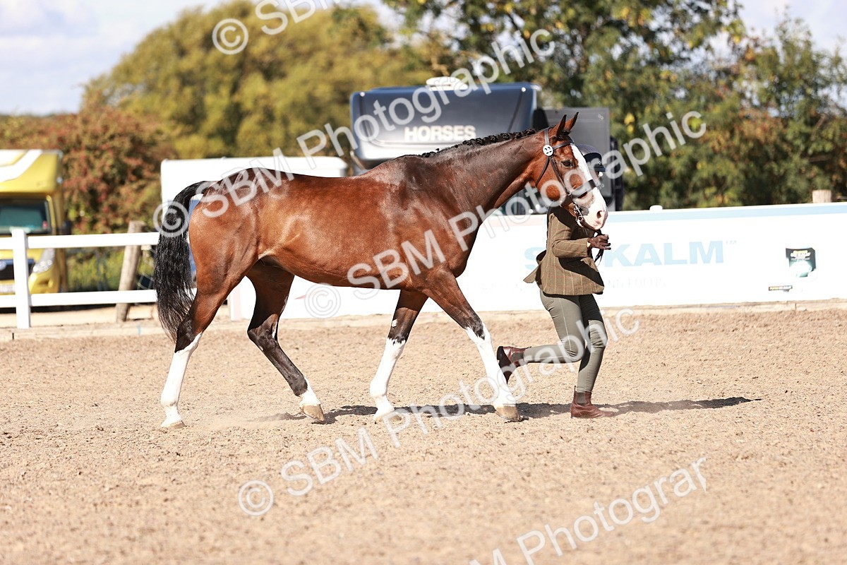 SBM_13310 - class 406 - IH Hunter