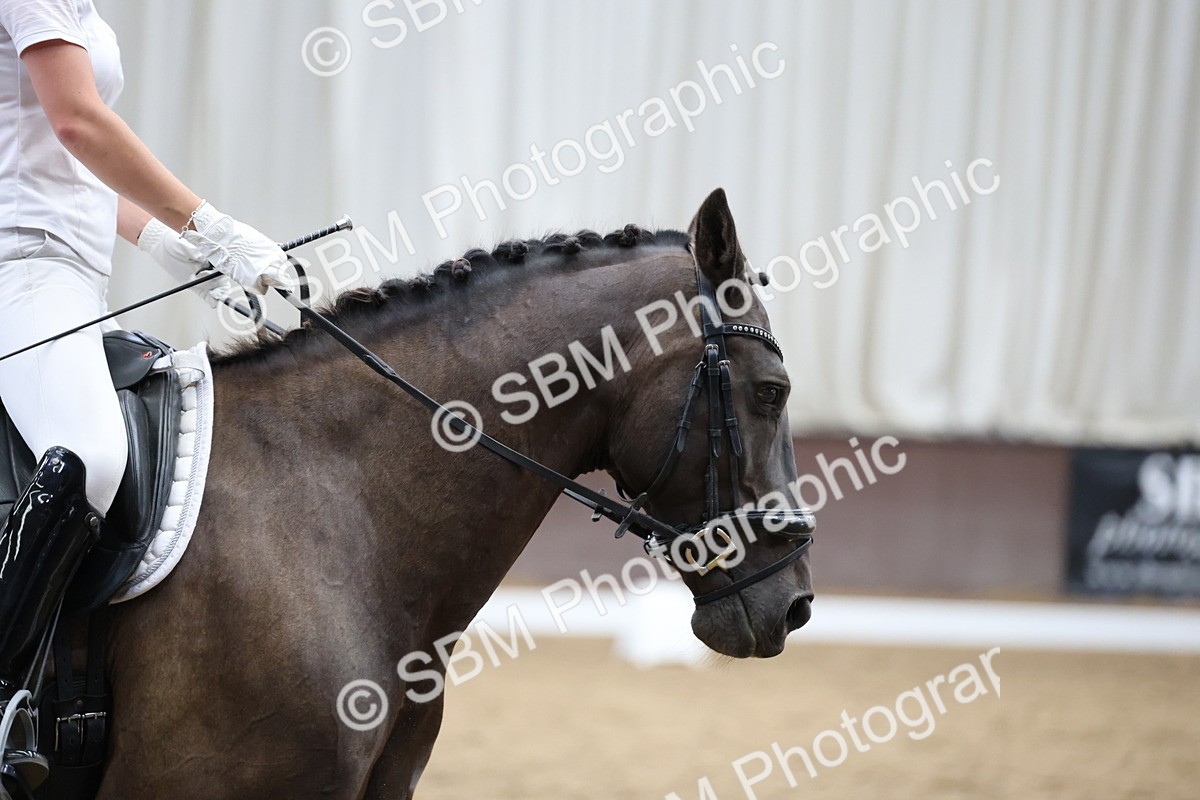 5K7A0191 - Novice 2