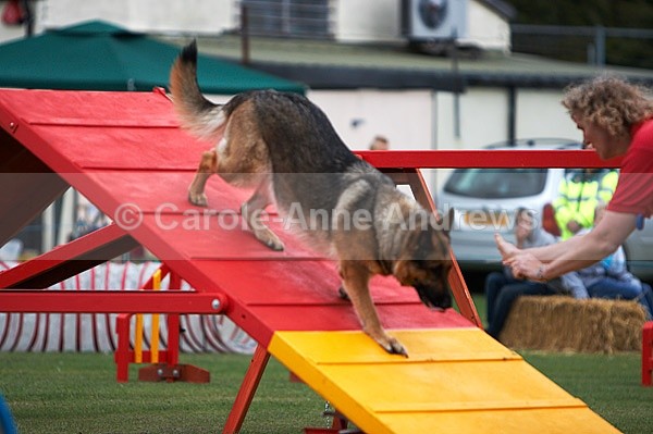  - Tendring Agility Group- St Osyth Summer Fete