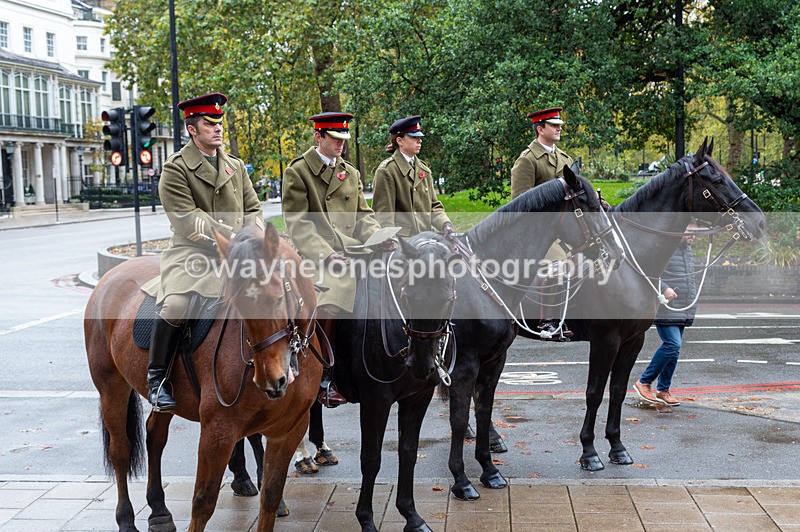 NGP_7114 - Animals In War Memorial - 10-11-23