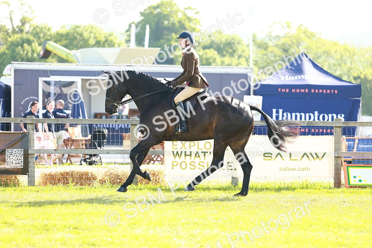 SBM_10910 - Class 66-69 - RIHS Ridden Hunters Inc Small Hunter