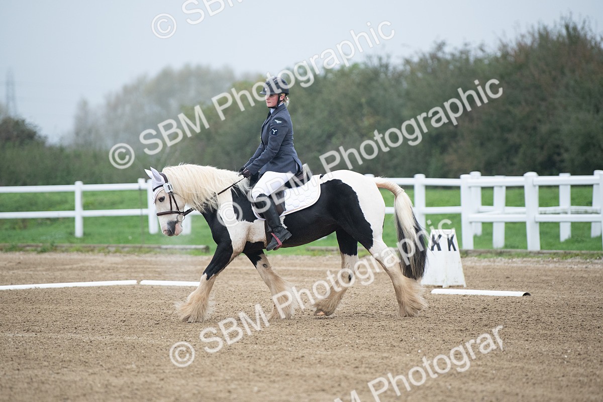 SBM_003368 - Introductory Test 3